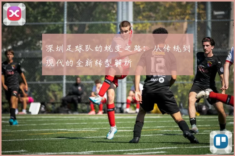 深圳足球队的蜕变之路：从传统到现代的全新转型解析