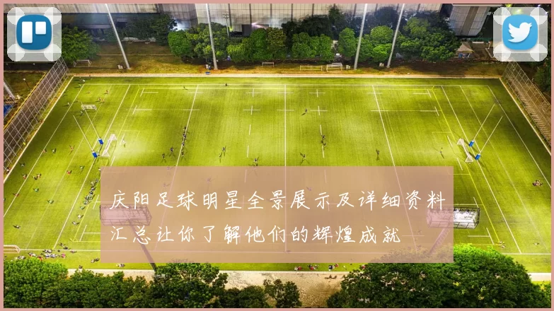 庆阳足球明星全景展示及详细资料汇总让你了解他们的辉煌成就