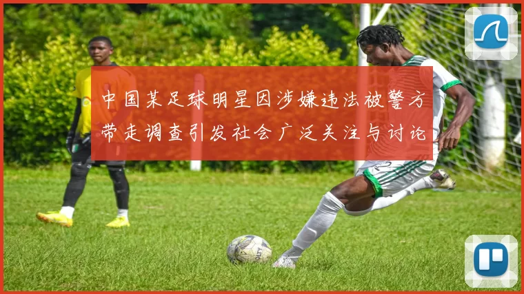 中国某足球明星因涉嫌违法被警方带走调查引发社会广泛关注与讨论