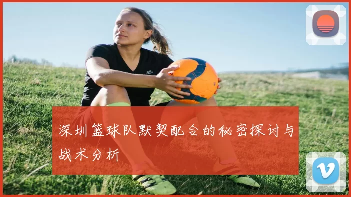 深圳篮球队默契配合的秘密探讨与战术分析