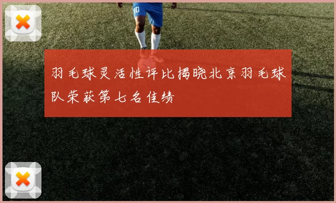 羽毛球灵活性评比揭晓北京羽毛球队荣获第七名佳绩